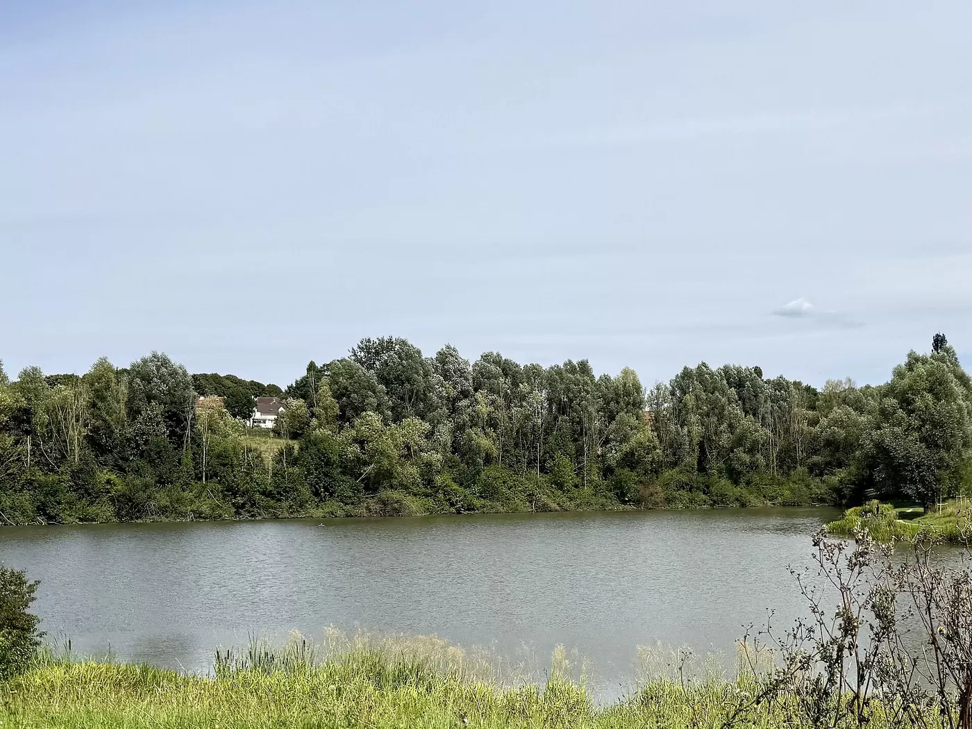 L'étang de Montévrain et sa rive boisée